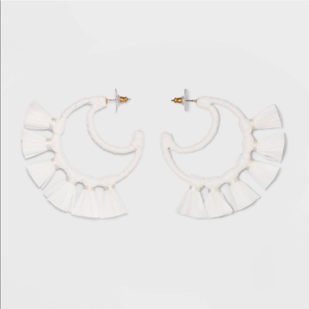 Crescent Moon Tassel Earrings - NWOT